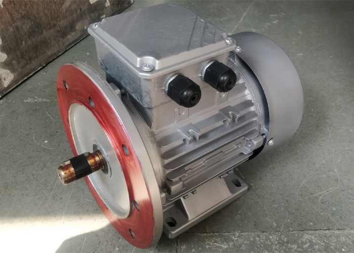 AC Induction Motor