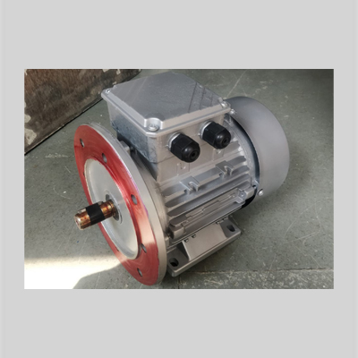 AC Induction Motor | Gennext Controls